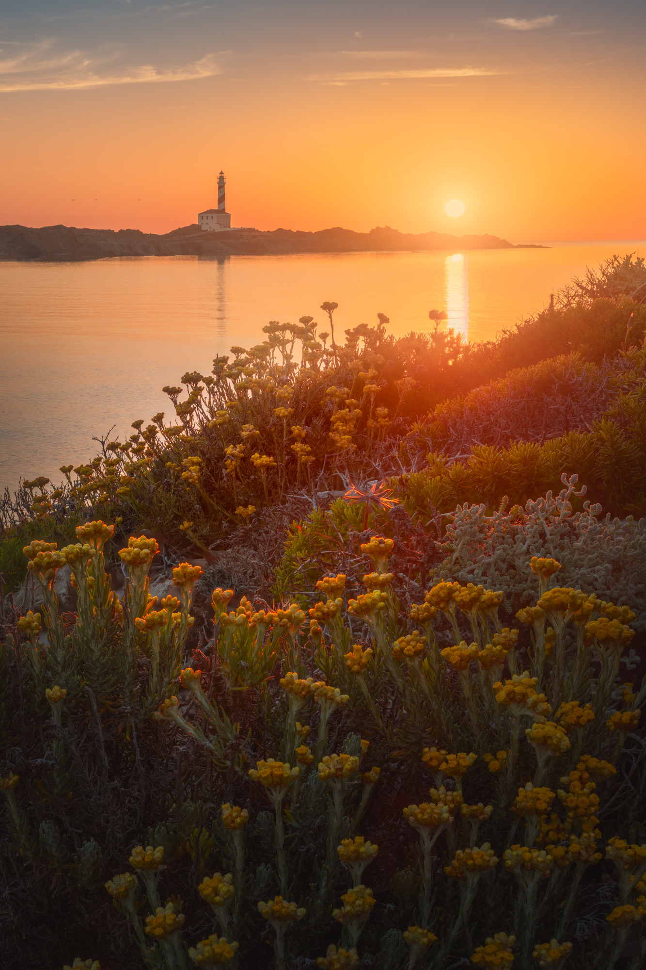 Golden Morning