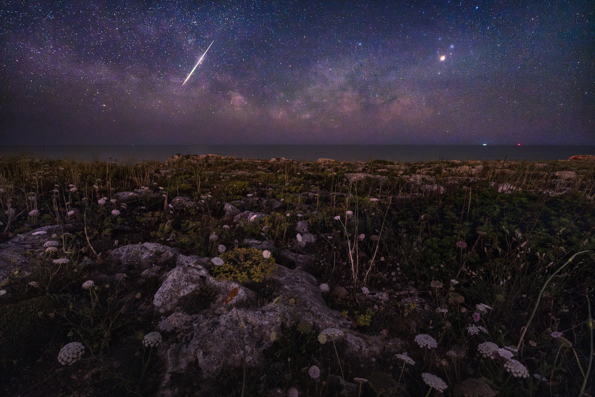 Make A Wish